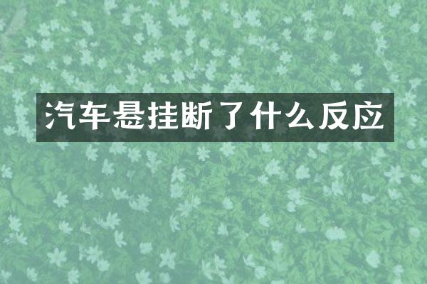 汽车悬挂断了什么反应