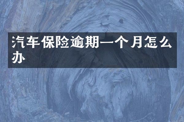 汽车保险逾期一个月怎么办