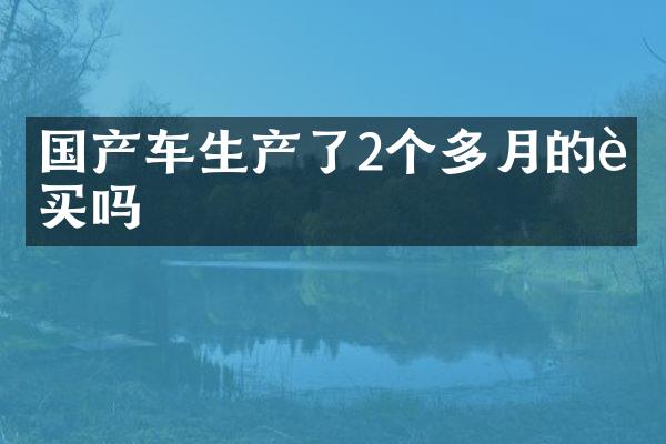 国产车生产了2个多月的能买吗