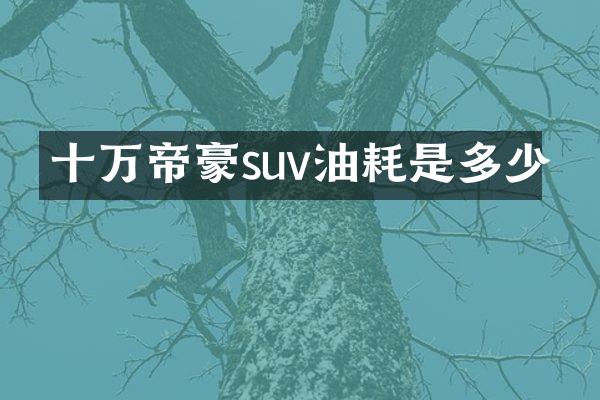 十万帝豪suv油耗是多少