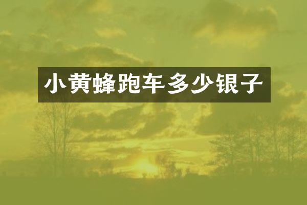 小黄蜂跑车多少银子