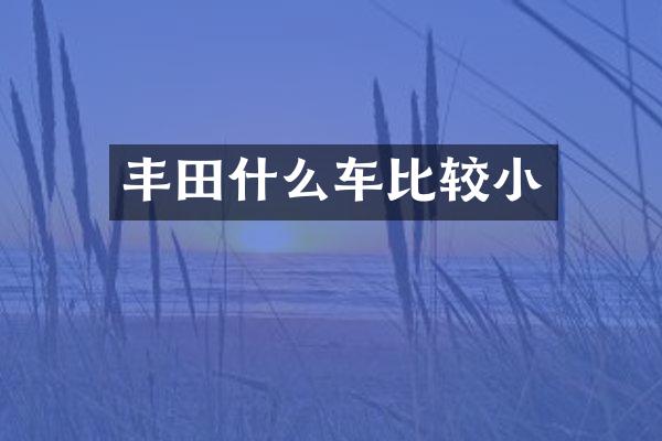 丰田什么车比较小