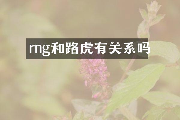 rng和路虎有关系吗