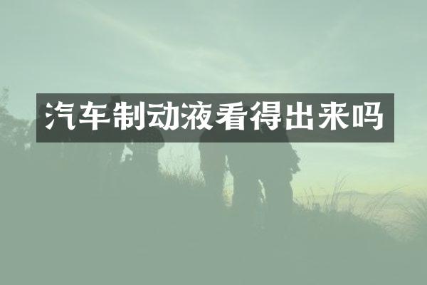 汽车制动液看得出来吗