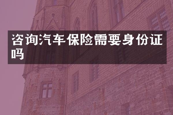 咨询汽车保险需要身份证吗