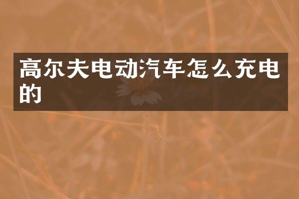 高尔夫电动汽车怎么充电的