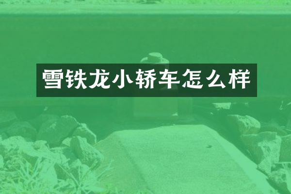 雪铁龙小轿车怎么样