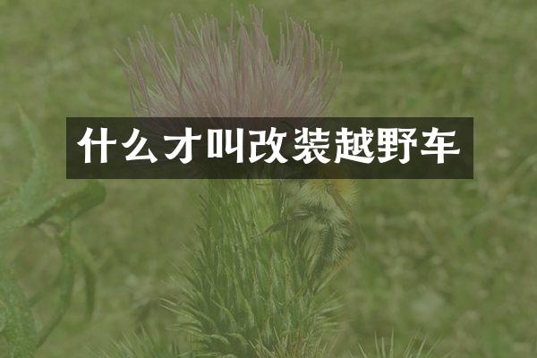 什么才叫改装越野车