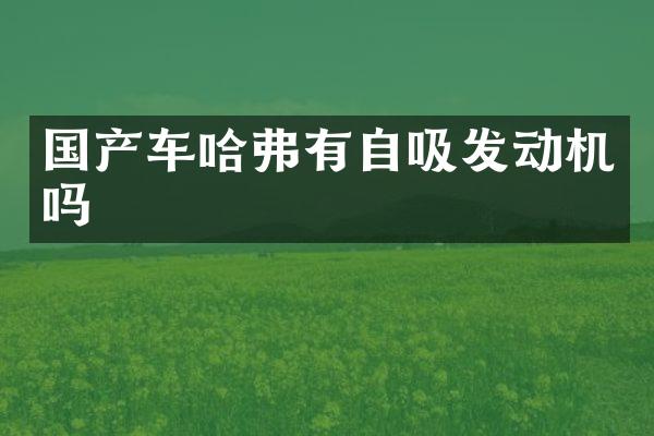 国产车哈弗有自吸发动机吗