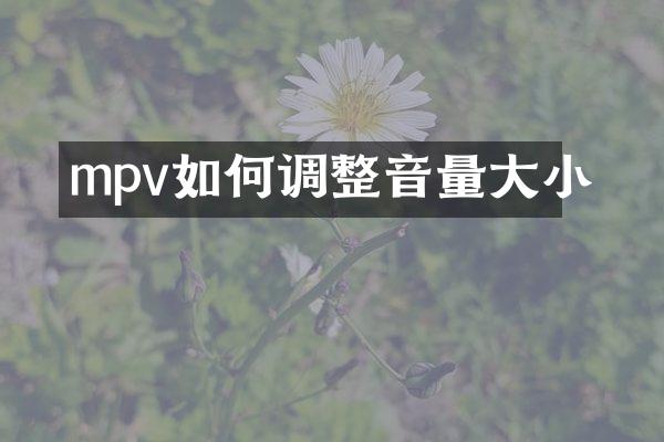 mpv如何调整音量大小