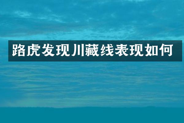 路虎发现川藏线表现如何