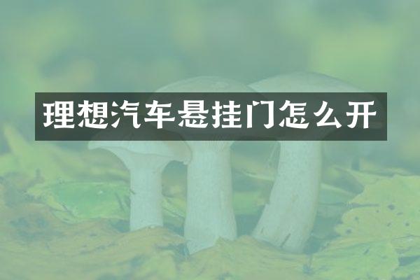 理想汽车悬挂门怎么开