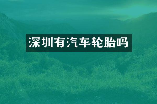 深圳有汽车轮胎吗
