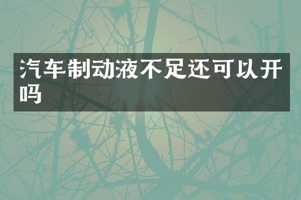 汽车制动液不足还可以开吗