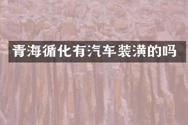 青海循化有汽车装潢的吗