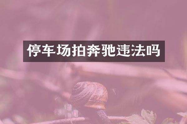 停车场拍奔驰违法吗