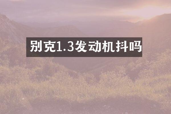别克1.3发动机抖吗