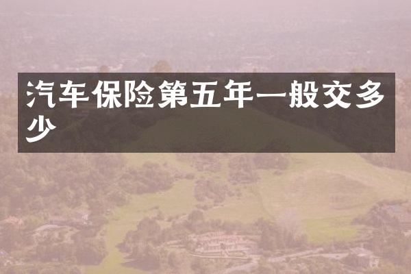 汽车保险第五年一般交多少