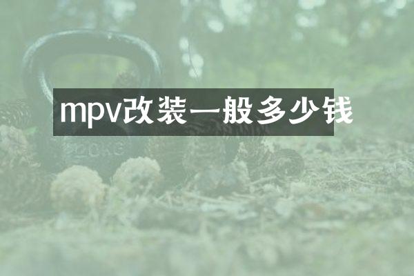mpv改装一般多少钱