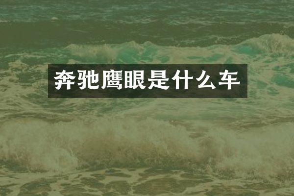 奔驰鹰眼是什么车