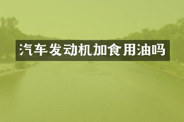 汽车发动机加食用油吗