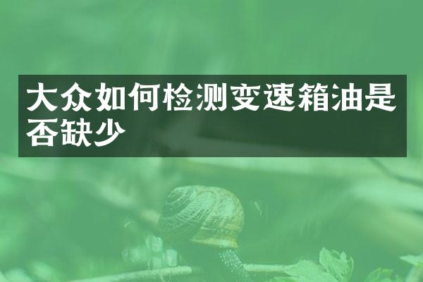 大众如何检测变速箱油是否缺少