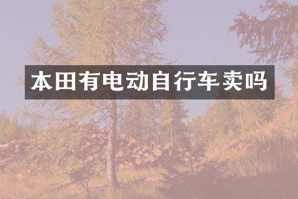 本田有电动自行车卖吗