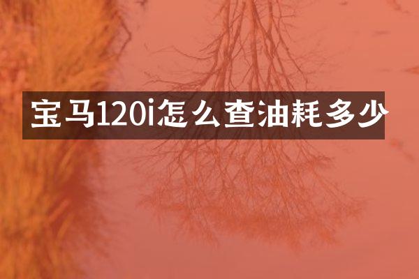 宝马120i怎么查油耗多少