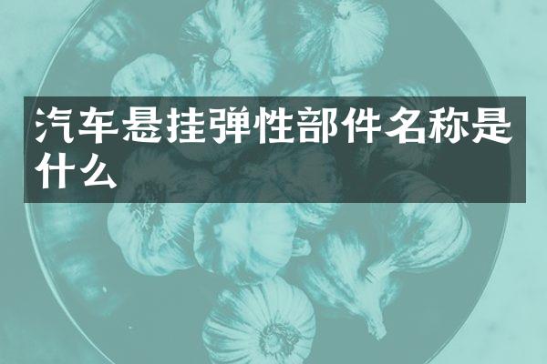 汽车悬挂弹性部件名称是什么