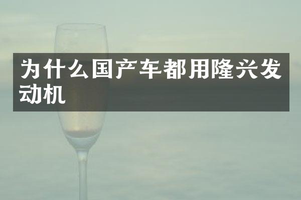 为什么国产车都用隆兴发动机