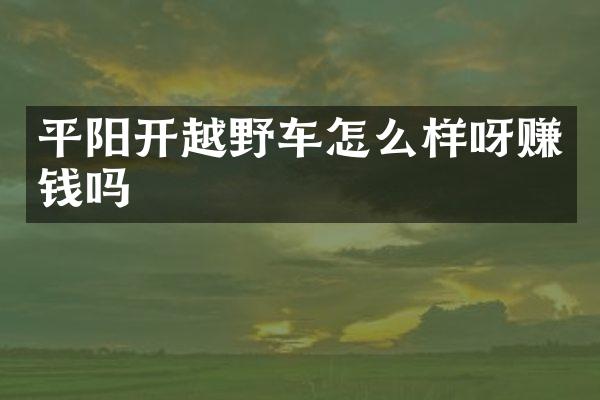 平阳开越野车怎么样呀赚钱吗