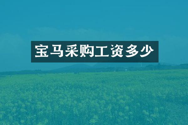 宝马采购工资多少