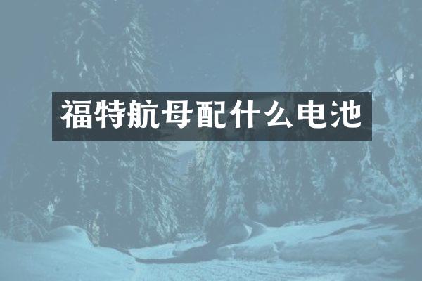 福特航母电池