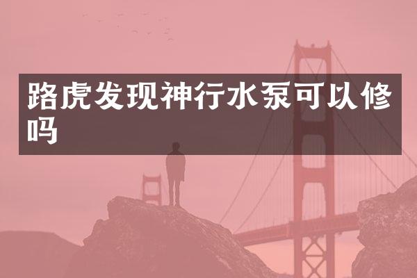 路虎发现神行水泵可以修吗