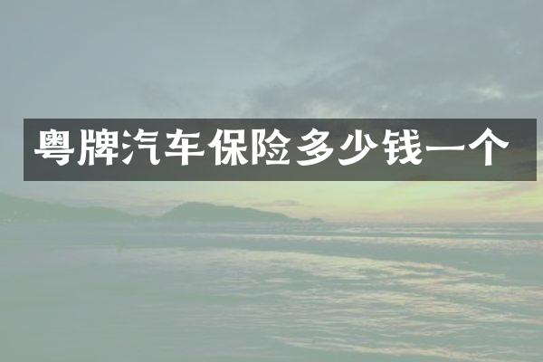 粤牌汽车保险多少钱一个