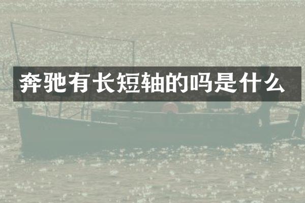 奔驰有长短轴的吗是什么