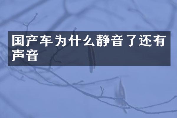 国产车为什么静音了还有声音