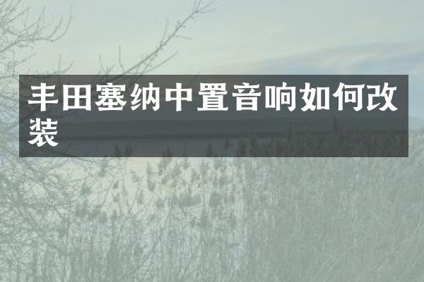 丰田塞纳中置音响如何改装