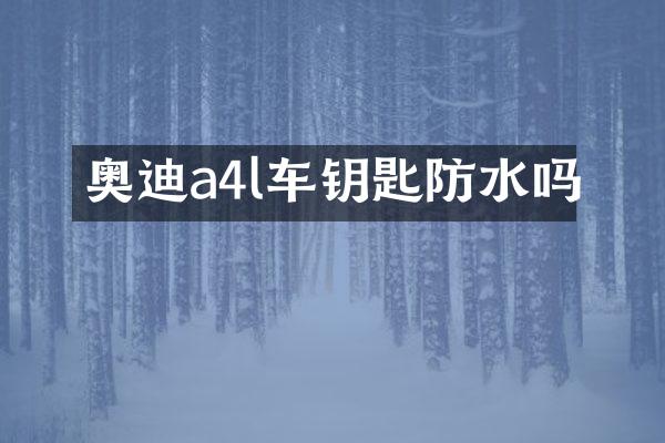 奥迪a4l车钥匙防水吗