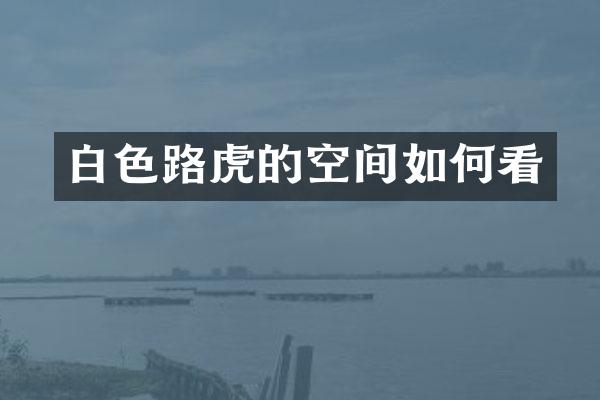白色路虎的空间如何看