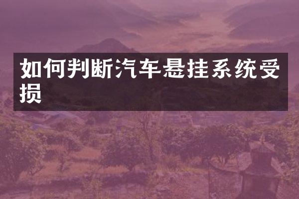 如何判断汽车悬挂系统受损
