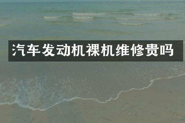 汽车发动机裸机维修贵吗