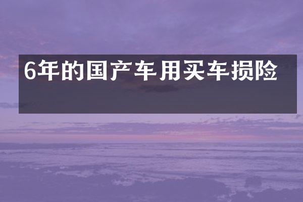 6年的国产车用买车损险吗