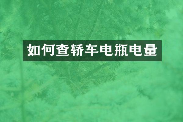 如何查轿车电瓶电量