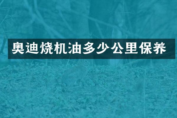 奥迪烧机油多少公里保养