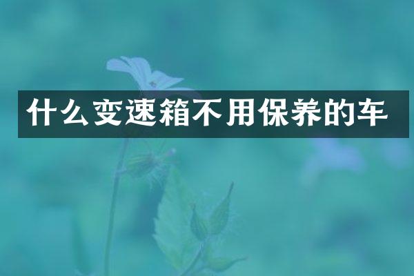什么变速箱不用保养的车