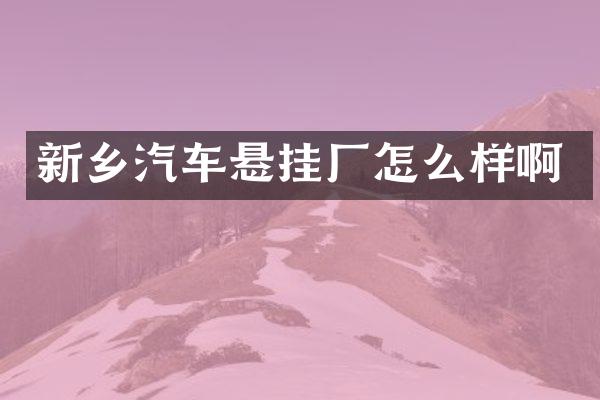 新乡汽车悬挂厂怎么样啊