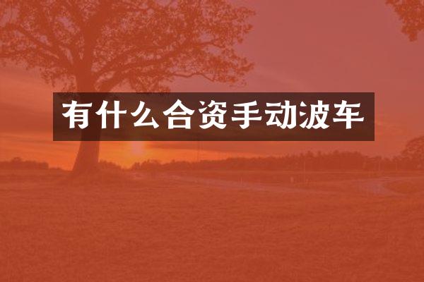 有什么合资手动波车