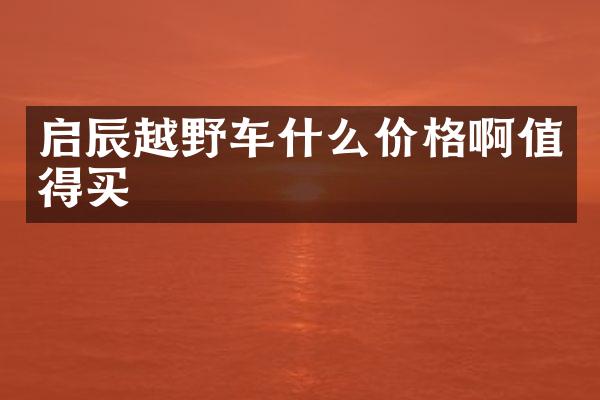 启辰越野车什么价格啊值得买