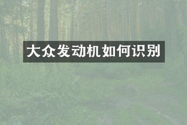 大众发动机如何识别